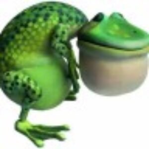 Foto do perfil de giramundo